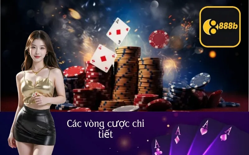 Các vòng cược chi tiết