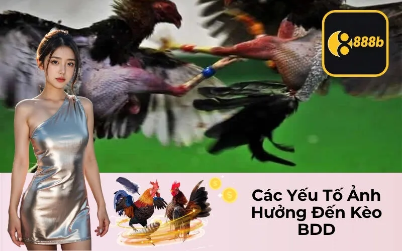 Các Yếu Tố Ảnh Hưởng Đến Kèo BDD
