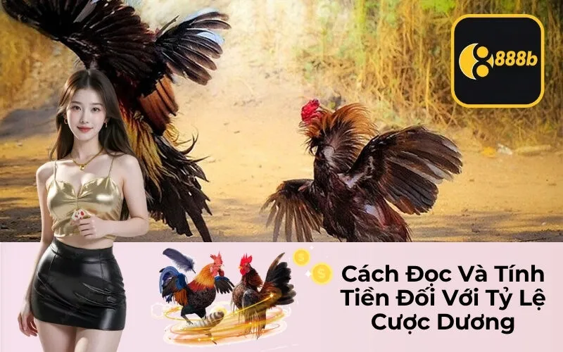 Cách Đọc Và Tính Tiền Đối Với Tỷ Lệ Cược Dương