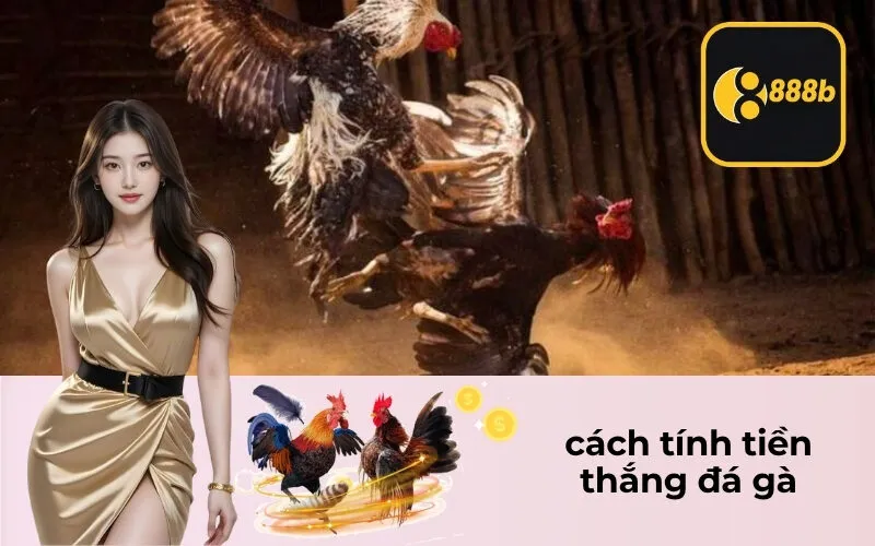 cách tính tiền thắng đá gà