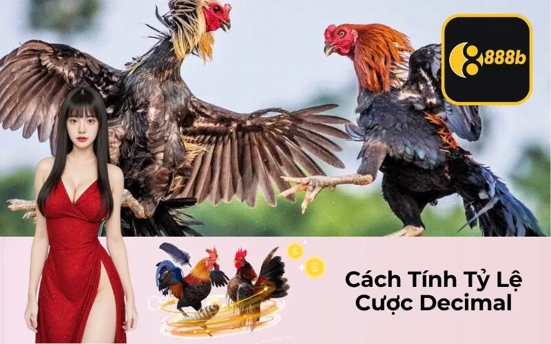 Cách Tính Tỷ Lệ Cược Decimal