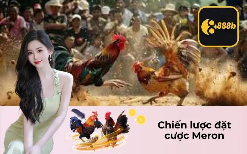Chiến lược đặt cược Meron