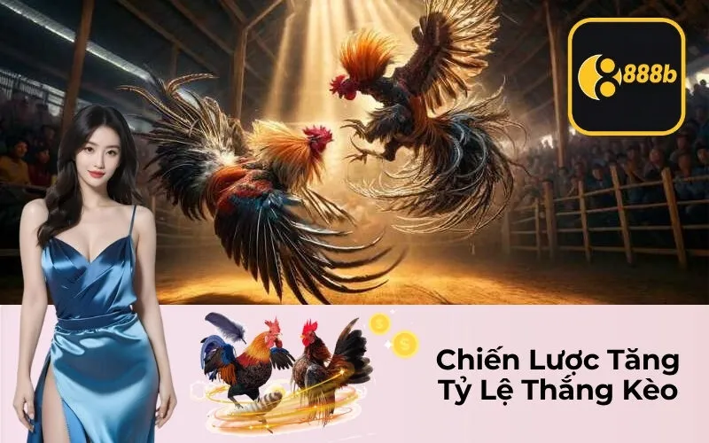 Chiến Lược Tăng Tỷ Lệ Thắng Kèo