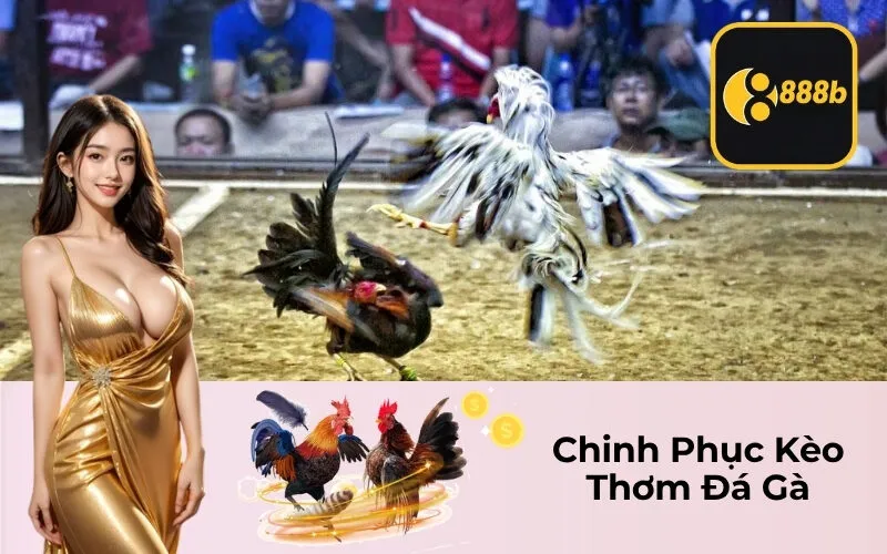 Chinh Phục Kèo Thơm Đá Gà