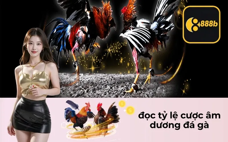 đọc tỷ lệ cược âm dương đá gà