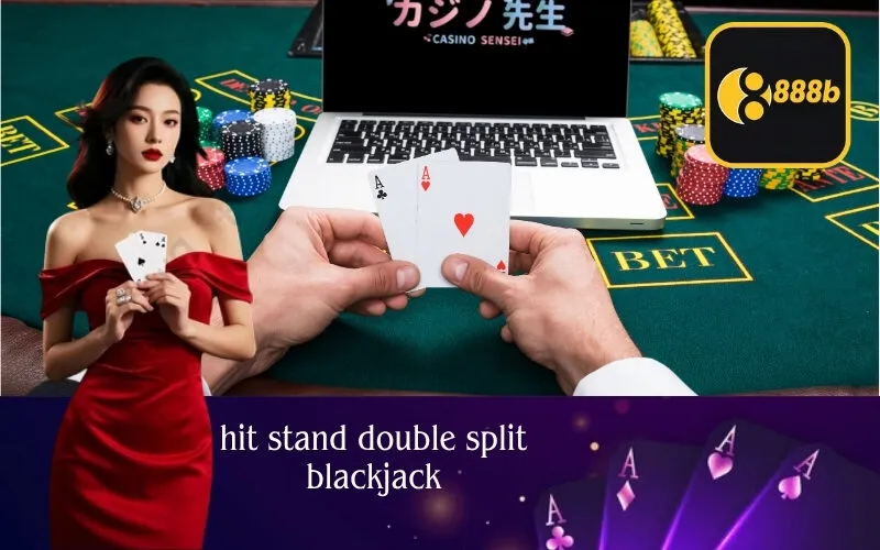 hit stand double split blackjack