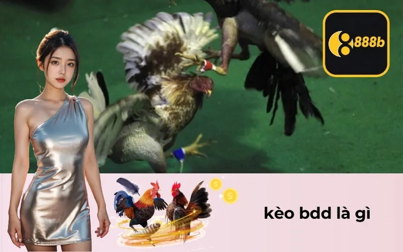 kèo bdd là gì