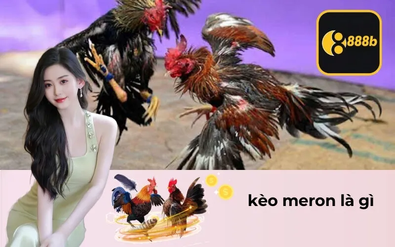 kèo meron là gì
