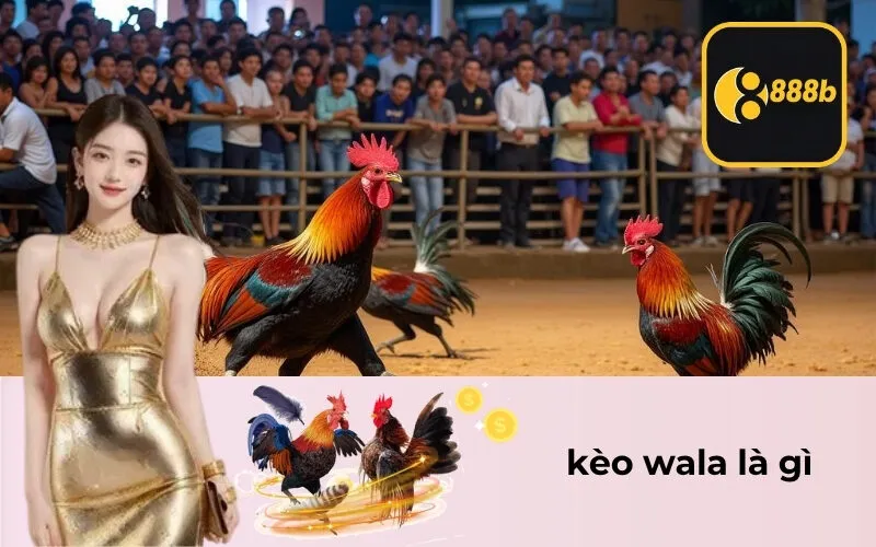kèo wala là gì