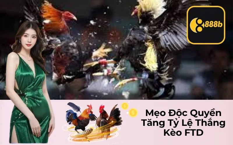 Mẹo Độc Quyền Tăng Tỷ Lệ Thắng Kèo FTD