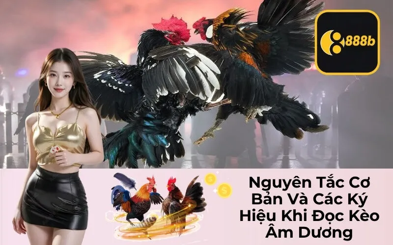 Nguyên Tắc Cơ Bản Và Các Ký Hiệu Khi Đọc Kèo Âm Dương