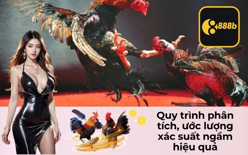 Quy trình phân tích, ước lượng xác suất ngầm hiệu quả