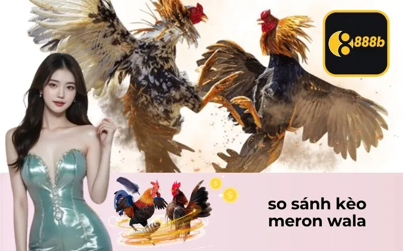 so sánh kèo meron wala