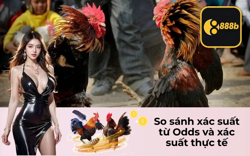 So sánh xác suất từ Odds và xác suất thực tế