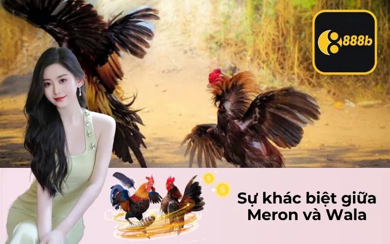 Sự khác biệt giữa Meron và Wala