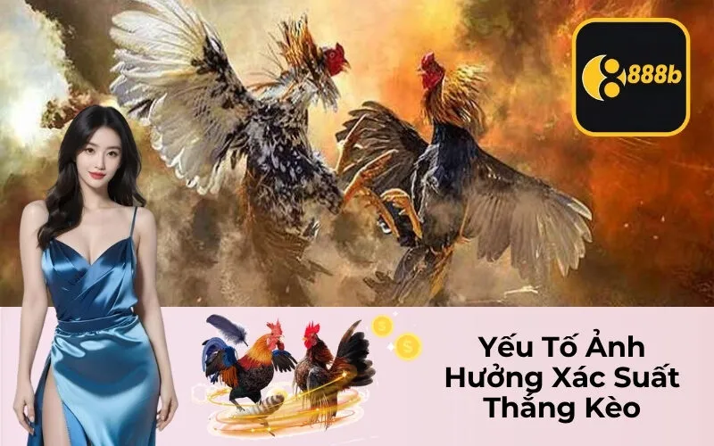 Yếu Tố Ảnh Hưởng Xác Suất Thắng Kèo