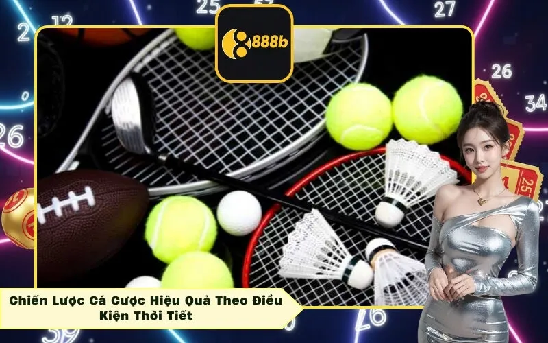 Chiến Lược Cá Cược Hiệu Quả Theo Điều Kiện Thời Tiết